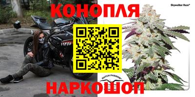 spice Бузулук