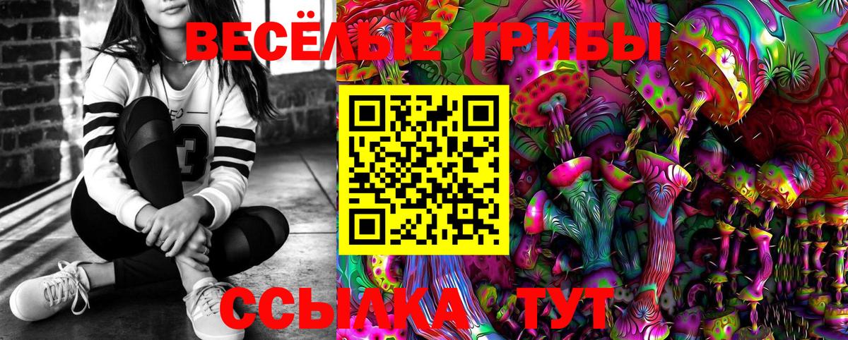 Псилоцибиновые грибы мухоморы  Псилоцибиновые грибы MAGIC MUSHROOMS  Вход с VPN  Тамбов 
