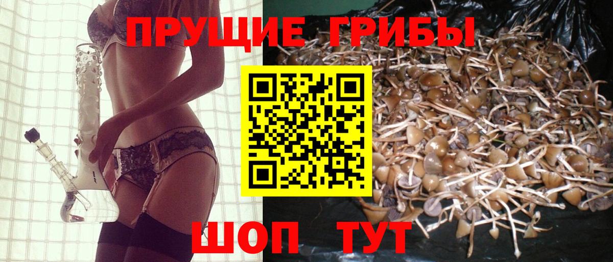 Галлюциногенные грибы ЛСД Тамбов